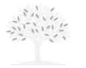 Moringa