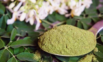 Moringa Oleifera